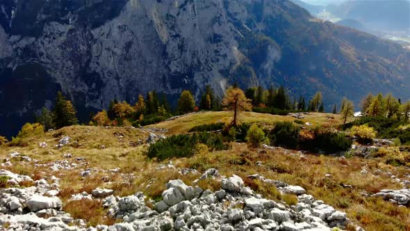 Beautiful Autumn Landscape in the Mountains