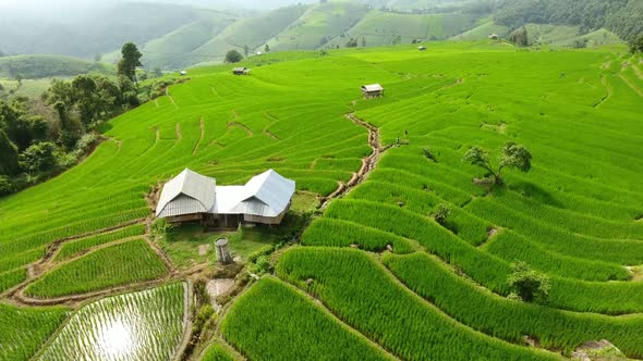 Rice field terrace on mountain agriculture land.