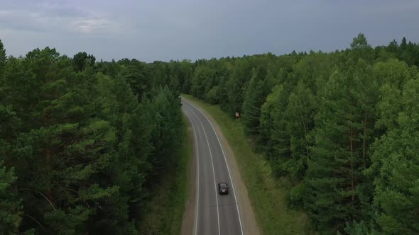 Forest aerial view