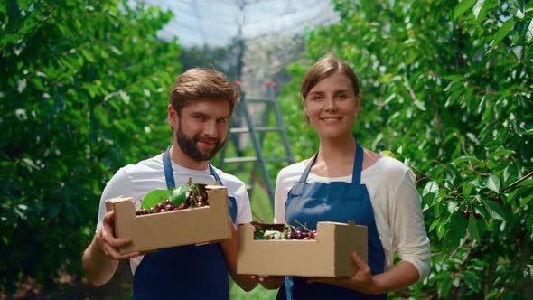 Couple Farmers Presenting Cherries Box in Local Business Agriculture Plantation