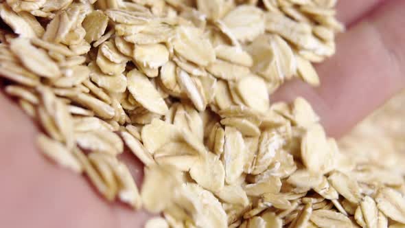 Dry oatmeal flakes in the palm of hand. A handful of uncooked whole rolled oats. Macro