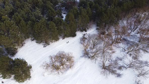 Two families walking in winter forest keeping social distance, pandemic