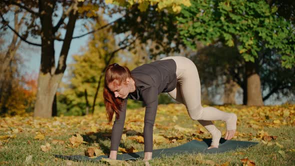 Young Woman Doing Chaturanga Cobra and Other Poses in Park on a Yoga Mat