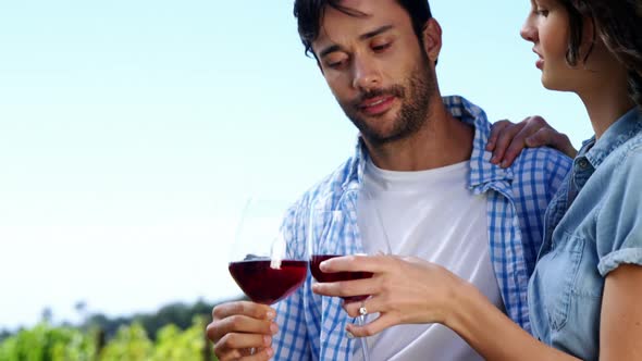 Couple toasting wine glasses in the farm