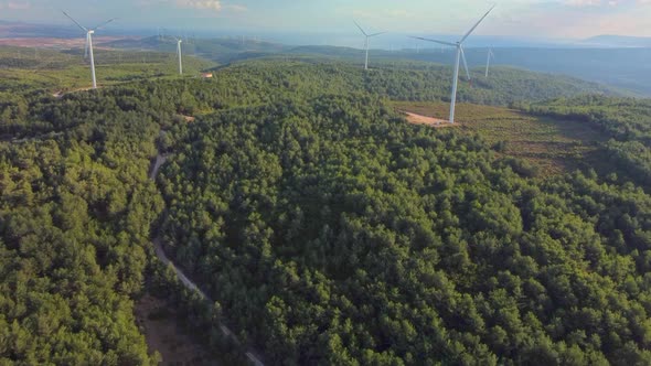 Drone Flies Over a Windmill Park