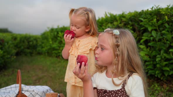 Picnic in Garden in Summer Children are Eating Peaches