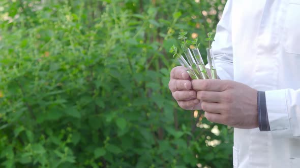 Researcher Outdoor in a White Coat Showing Test Tubes with Green Sprouts - Close-up.