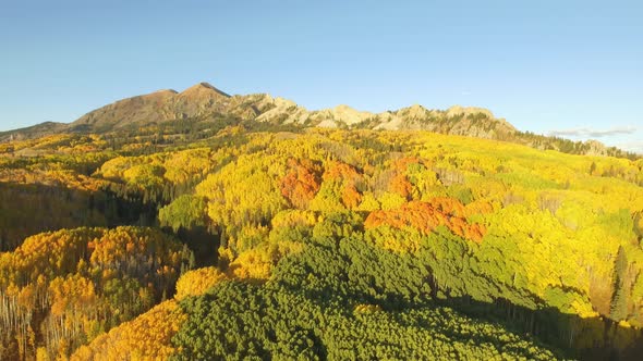 Fall colors in Crested Butte, Colorado