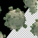 Virus Animation - VideoHive Item for Sale