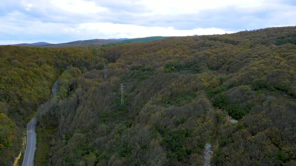 Trees in Red and Orange Colors in Autumn, Great Autumn Day