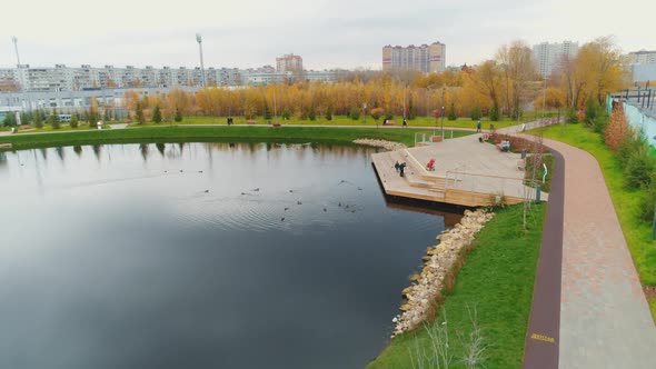 Family with Baby Rests on Pier Over Pond with Bathing Ducks