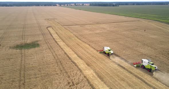 Upper View Wheat Field with Operating Combines Near Meadow