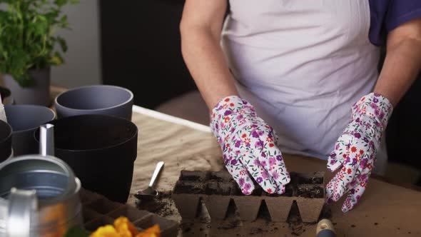 Tilt up video of woman while planting seedlings at home. Shot with RED helium camera in 8K.