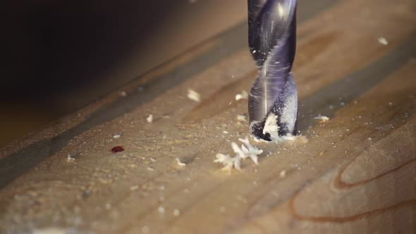 Macro Drilling Wood Slow Motion