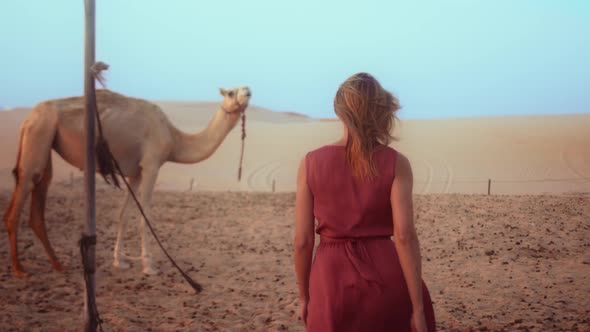 europian girl blonde hair walking towards a camel, wearing red dress, Dubai desert , Abu Dhabi deser
