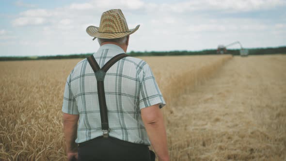 Senior Man Working in a Wheat Field