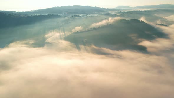 4K Aerial view of the misty sunrise in the forest.