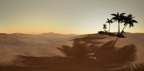 Vr 360 Camera Moving Above Desert alt