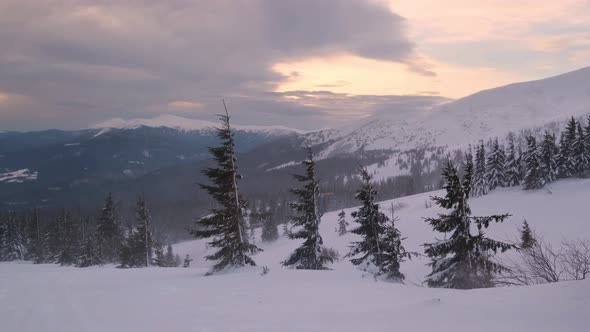 Mountain morning, ski resort Dragobrat, Carpathians, Ukraine