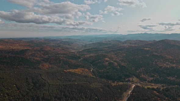 Deep Colorful Autumn Forest Tree Landscape Curved Road Aerial View