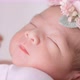 Close Up Of Asian Mother Holding Lovely Newborn Carefully With Love - VideoHive Item for Sale