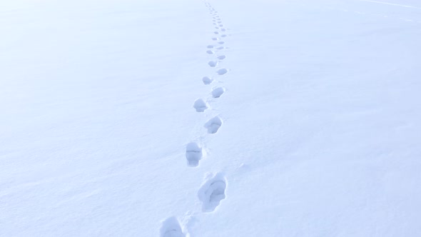 Human footprints in the white snow.