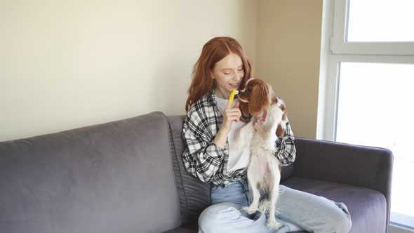 Young Woman Sits at Home on the Couch and Brushes Her Dog's Teeth