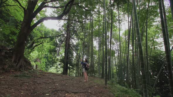 Girl Traveler Takes Photo on Smartphone in Tropical Forest with Tall Trees, Ferns, Bamboo Plantation