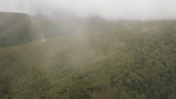 Flying over green forest on overcast day through clouds, Aerial shot, Slovakia