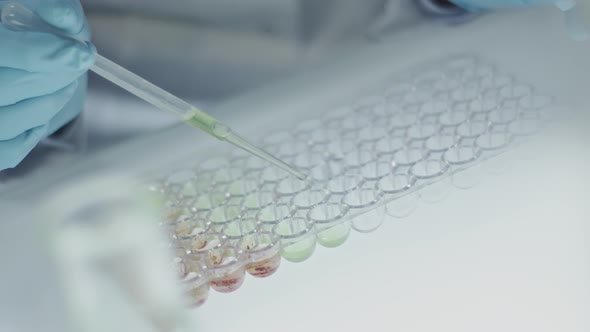 Hands of Scientist Working with Solutions alt