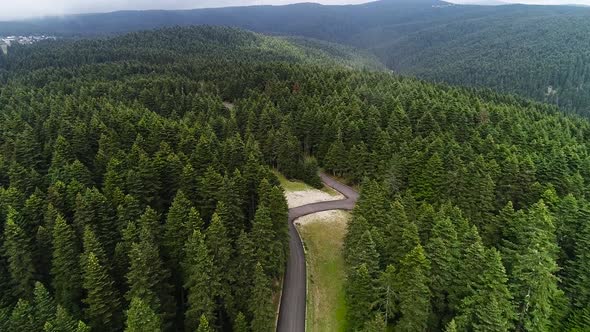 Asphalt roads in the forest.