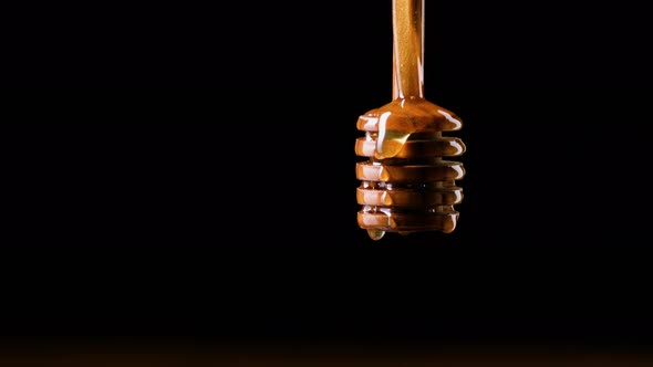 Honey dripping from spoon in front of black background