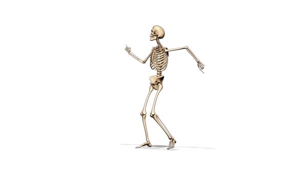 3D Skeleton Fun Dance  Looped on White