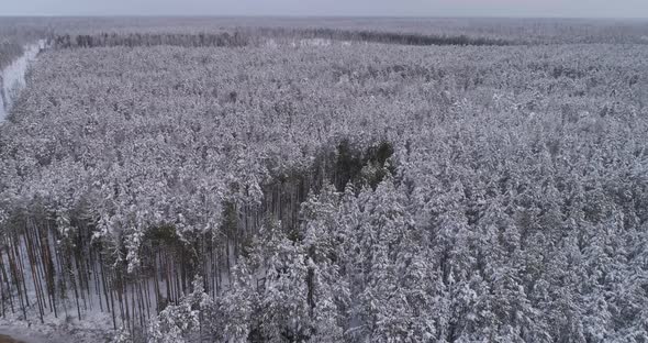 Top down Aerial view of Forest harvester and forwarder at work into the winter forest 37