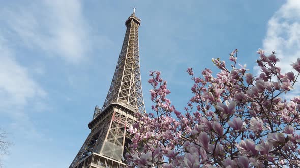 Eiffel Tour and From Trocadero Paris