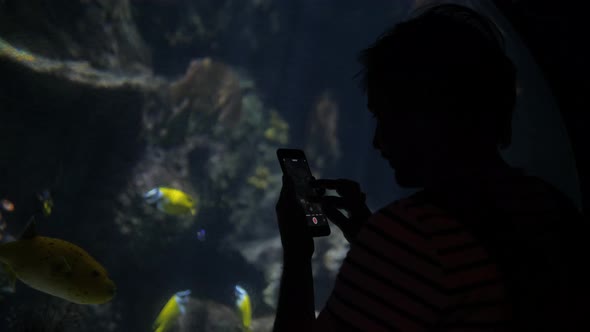Asian Tourist Man Taking a Photo of Turtle in an Aquarium Tank Voice Recognition Ai Speech Audio