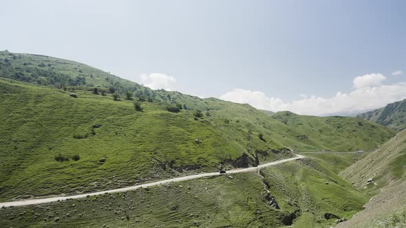 Top View of Mountain Road with Driving Car in Summer