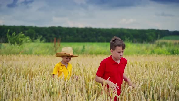 Boys outdoors in summer. 