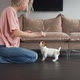 Owner Trains a Small Puppy at Home - VideoHive Item for Sale