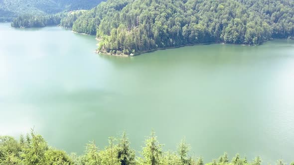 Aerial Drone Shot with Trees In the Foreground Punching In Revealing Tree Covered Mountains.