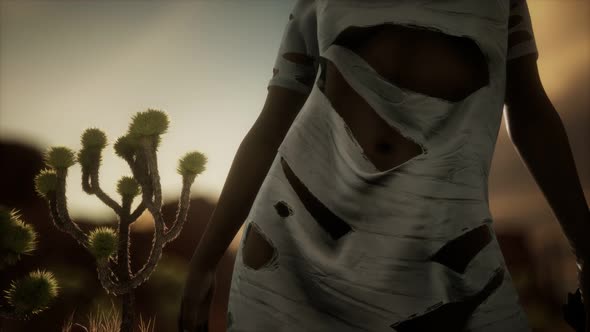 Woman in Torn Shirt Standing By Cactus in Desert at Sunset