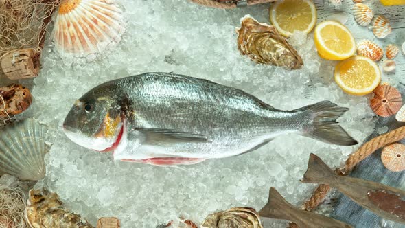 Super Slow Motion Shot of Falling Fresh Bream Fish Into Crushed Ice at 1000 Fps.