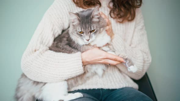 A Woman Petting Her Cute Gray Fluffy Cat While Holding Him in Her Arms