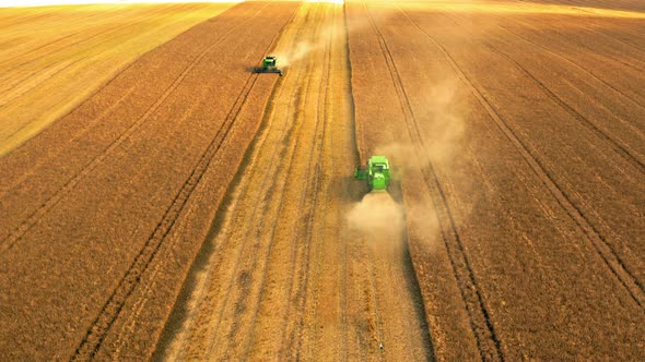 Two harvesters working on big field, aerial view