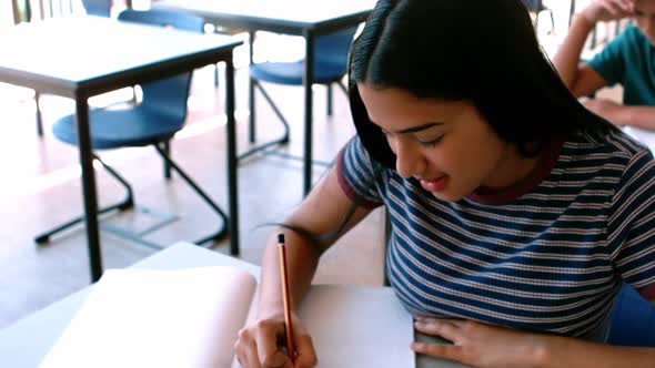 Schoolgirl studying in classroom