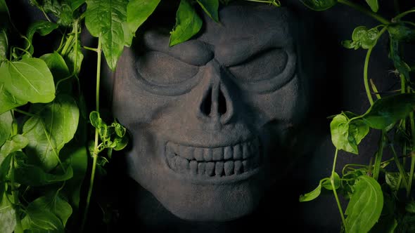 Tribal Rock Skull Revealed From Behind Jungle Vines