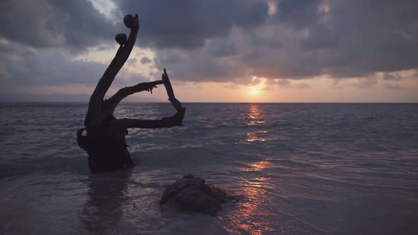 Tropical Beach at Sunset