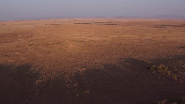 Aerial shot of African savannah