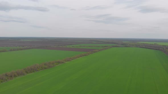 Aerial Green Field Landscape