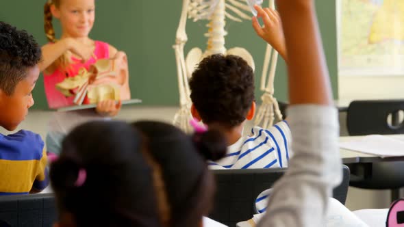 Front view of Caucasian schoolgirl explaining anatomical model in classroom at school 4k